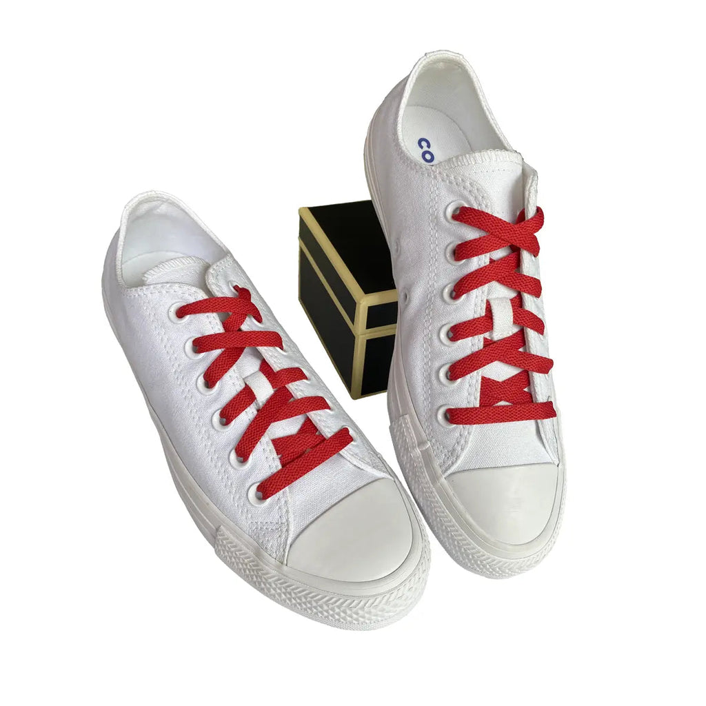 Cordones planos estándar